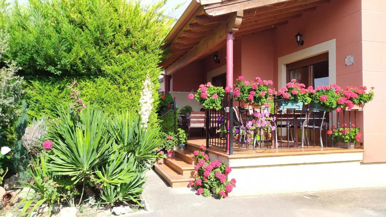 Cuarenta Y Ocho Luces Guest House Burgos Bagian luar foto