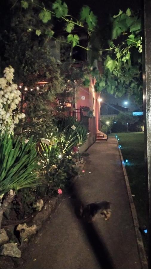 Cuarenta Y Ocho Luces Guest House Burgos Bagian luar foto